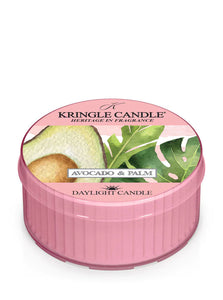 AVOCADO & PALM DayLight Cup Candle by Kringle Candle Company