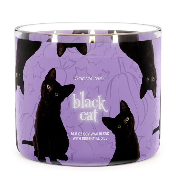 BLACK CAT Large Jar Candle - Goose Creek Candle Company