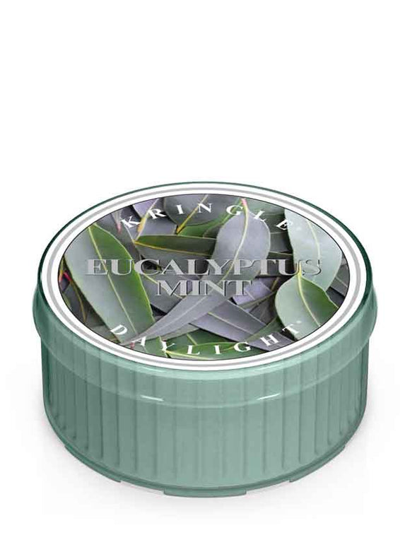 EUCALYPTUS MINT DayLight Candle Cup by Kringle Candle Company