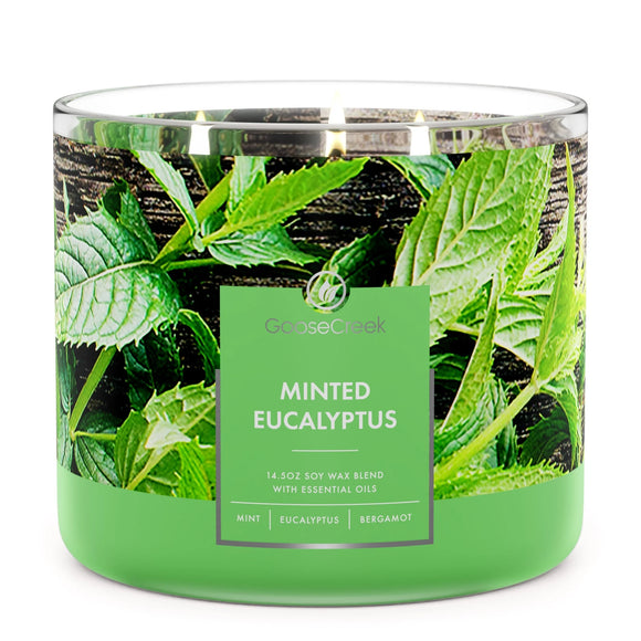 MINTED EUCALYPTUS Large Jar 3-Wick Candle - Goose Creek Candle
