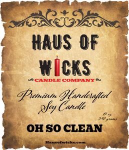 OH SO CLEAN Medium Jar Candle by Haus of Wicks Candle Company