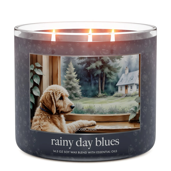 RAINY DAY BLUES Large Jar Candle - Goose Creek Candle Company