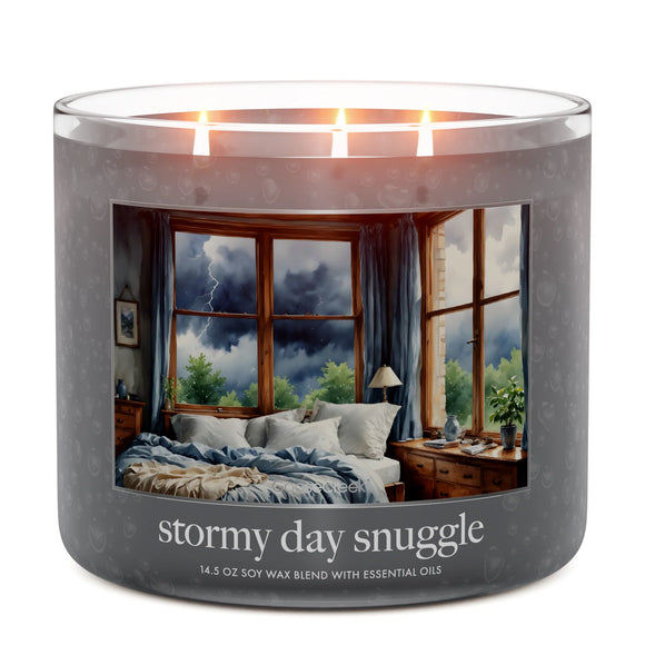 STORMY DAY SNUGGLE Large Jar Candle - Goose Creek Candle Company