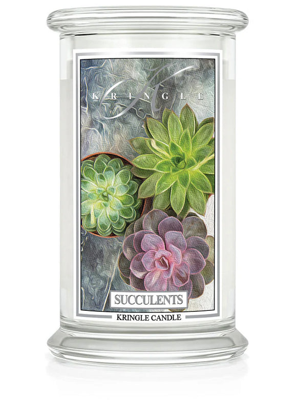 SUCCULENTS Large Jar Candle by Kringle Candle