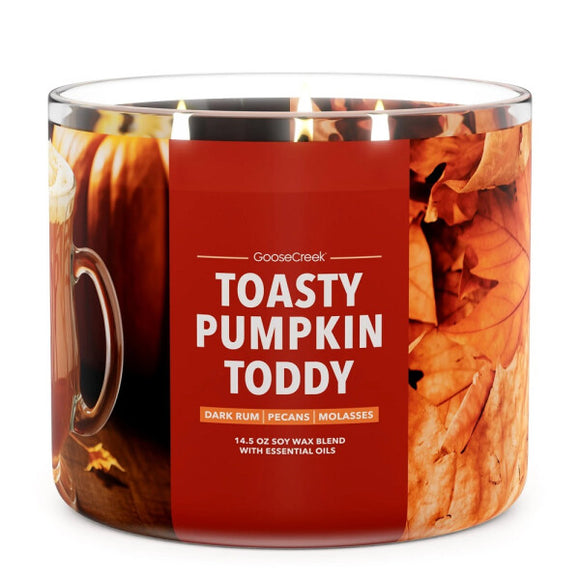 TOASTY PUMPKIN TODDY Large Jar Candle - Goose Creek Candle Company