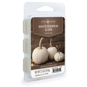 WHITE PUMPKIN & OAK 6-Piece Wax Melt by Candle Warmers Etc.