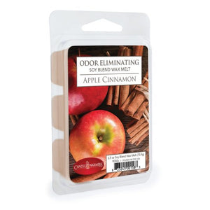 APPLE CINNAMON 6-Piece Odor Eliminator Wax Melts by Candle Warmers Etc