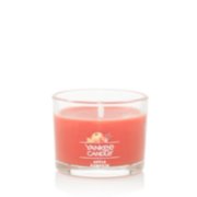 APPLE PUMPKIN 1.3 oz MINI CANDLE by Yankee Candle