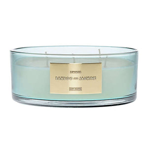 LUMINOUS BAMBOO AND JASMINE 5-wick Extra-Large Dish Candle by DW Home