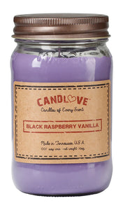 BLACK RASPBERRY VANILLA 16 oz (reusable) Large Jar Candle