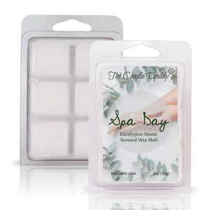 SPA DAY RELAXING AROMA THERAPY EUCALYPTUS 6-Piece Wax Melts by The Candle Daddy