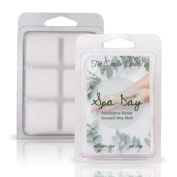 SPA DAY RELAXING AROMA THERAPY EUCALYPTUS 6-Piece Wax Melts by The Candle Daddy