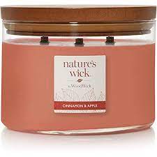 CINNAMON & APPLE 3-Wick Large Jar Candle from WoodWick's Nature's Wick Collection