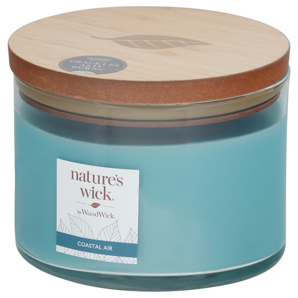 COASTAL AIR 3-wick Large Jar Candle from WoodWick's Nature's Wick Collection