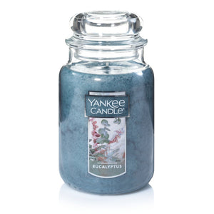 EUCALYPTUS Original Large Jar Candle by Yankee Candle