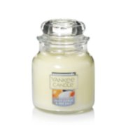 JUICY CITRUS & SEAL SALT 3.7 oz Original Small Jar Candle by Yankee Candle