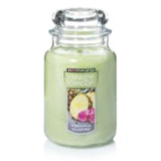 PINEAPPLE CILANTRO Original Large Jar Candle by Yankee Candle