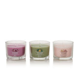 PINK CHERRY & VANILLA, SAGE & CITRUS and WILD ORCHID set of 3 MINI'S by Yankee Candle