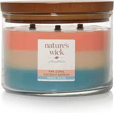 PINK CORAL, COCONUT SAFFRON & TROPIC WAVES 3-Wick Large Jar Candle from WoodWick's Nature's Wick Collection