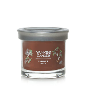 PRALINE & BIRCH 4.3 Small Tumbler Jar Candle by Yankee Candle