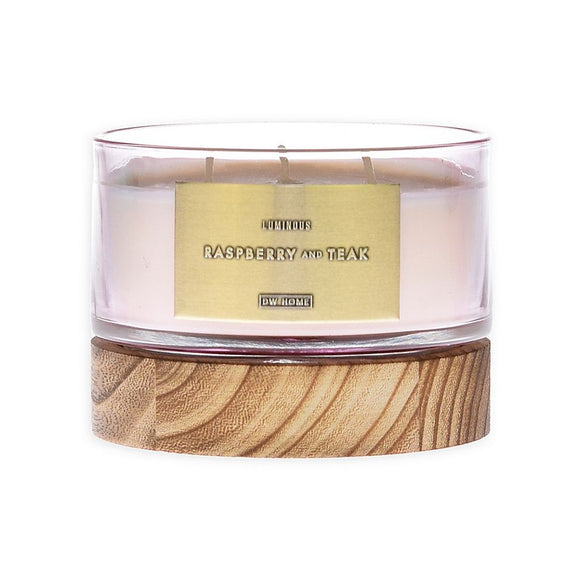 LUMINOUS RASPBERRY AND TEAK 3-Wick Medium Jar Candle by DW Home