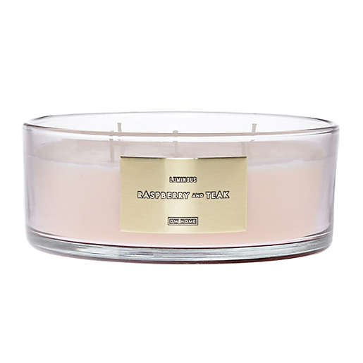 LUMINOUS RASPBERRY AND TEAK Extra Large (5) Wick candle by DW Home