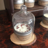 PURE ROSE CANDLE IN CLOCHE BELL JAR with Wood Slice Display Set by Wax Apothecary Candle Company