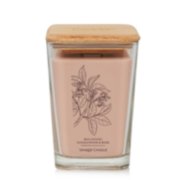 BALANCING SANDLEWOOD AND ROSE Large Jar Candle from Yankee Candle Well Living Collection