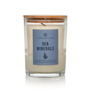 SEA MINERALS Frosted Medium Jar Candle by Chesapeake Bay Candle Minimalist Collection