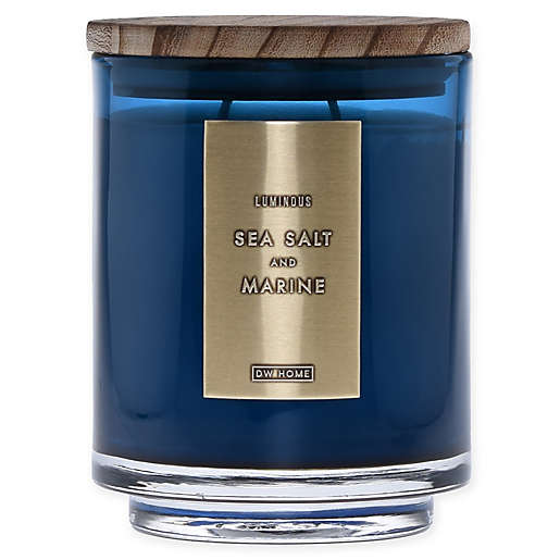 LUMINOUS SEA SALT AND MARINE Medium 1-Wick Jar Candle by DW Home Candle Company