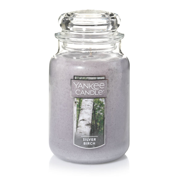 SILVER BIRCH Original Large Jar Candle by Yankee Candle
