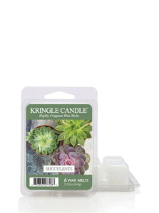 SUCCULENTS 6-Piece Wax Melts from Kringle Candle Company's Country Candle Collection