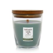 SUCCULENT JADE Medium Jar Candle from WoodWick's Nature's Wick Collection