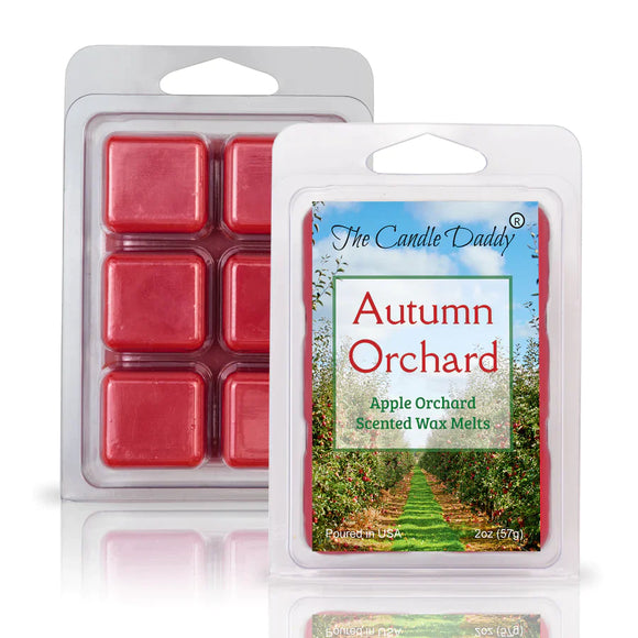 AUTUMN ORCHARD - CRISP FALL APPLE ORCHARD 6-Piece Wax Melt by The Candle Daddy