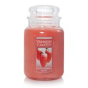 WHITE STRAWBERRY BELLINI Original Large Jar Candle by Yankee Candle